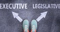 Executive and legislative as different choices in life - pictured as words Executive, legislative on a road to symbolize making