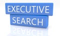 Executive Search Royalty Free Stock Photo