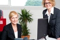 Executive women posing at office Royalty Free Stock Photo