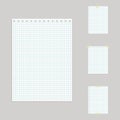 Exercise book in cage, image. Options. Royalty Free Stock Photo