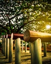 Exercise equipment with different level concrete pole for body balance train in the park near giant Raintree