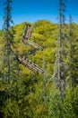 Exercise Stairs in the summer