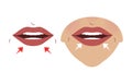 Exercises for the expression muscles around the lips and mouth. Relaxation and workout of muscles, Illustration