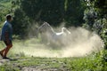 Exercising Arabian horse Royalty Free Stock Photo