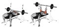 Exercising. Close-Grip Barbell Bench Press Royalty Free Stock Photo