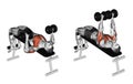 Exercising. Decline Dumbbell Bench Press Royalty Free Stock Photo