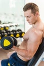 Exercising with dumbbells. Royalty Free Stock Photo