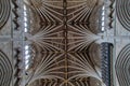 Vaulted ceiling Exeter Cathedral