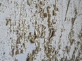 Exfoliated paint on the wall with scratches and cracks Royalty Free Stock Photo