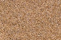 Exfoliated vermiculite, a hydrous mineral used as growing medium for plants Royalty Free Stock Photo