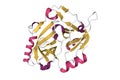 Structure of exfoliative toxin A from Staphylococcus aureus Royalty Free Stock Photo