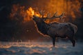 The exhaled air from an elk mouth howling. Generative AI Royalty Free Stock Photo