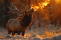 The exhaled air from an elk mouth howling. Generative AI Royalty Free Stock Photo