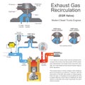 Exhaust Gas Recirculation Valve.