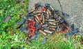 Exhaust very rusty leaking alkaline batteries improperly thrown away to grass on parking lot, not recycled, are poisoning the