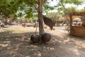 An exhibit in the shape of two large iron cherries, produced by craftsmen living in Kibbutz En Carmel, in northern Israel