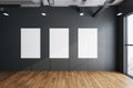 Exhibition hall room with three empty posters on concrete wall Royalty Free Stock Photo