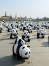 Exhibition of the 1,600 paper-mache panda sculptures world tour collaboration in Thailand