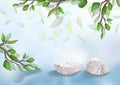 Exhibition podium. 3D background. Group white Stones pedestal. Stand for cosmetic products. Falling leaves. 3D rendering Royalty Free Stock Photo