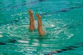 Exhibition of synchronized swimming Royalty Free Stock Photo