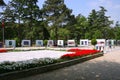 Exhibiton of Most Beautiful Tulips