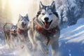 Exhilarating Dog Sledding Adventure Through Snow-Covered Forests