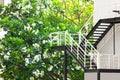 exit fire steel stairs install out side building passing through the garden Royalty Free Stock Photo