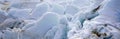 Exit Glacier at Harding Ice field, Kenai Mountains, Seward, Alaska