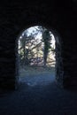 Entrance door to the old ruin Blatten in Oberriet in Switzerland 11.1.2021