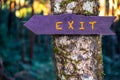 Exit wooden sign is on tree in the forest
