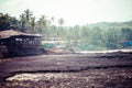 Exiting Anjuna beach panorama on low tide with white wet sand and green coconut palms, Goa, India Royalty Free Stock Photo