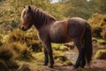 Exmoor pony - United Kingdom (Generative AI)