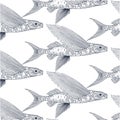 Exocoetidae or Flying fish hand drawing Royalty Free Stock Photo