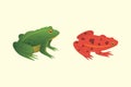 Exotic amphibian set. Frogs in different styles Cartoon