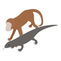 Exotic animal icon isometric vector. Brown little monkey and gray monitor lizard