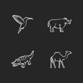 Exotic animals chalk white icons set on black background Royalty Free Stock Photo