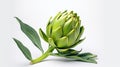 Exotic Artichoke: Realistic Photography On White Background