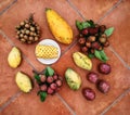 Exotic Asian fruits: mango, papaya, pineapple, rambutan, lychee, mangosteen on ceramic tiles