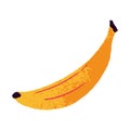 Exotic banana. Whole fresh ripe fruit in peel. Banan in yellow skin. Healthy vitamin food, nutrition. Stylized flat