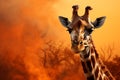 Exotic banner features a graceful giraffe, symbol of untamed elegance