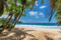 Sunny sand beach with coconut palms on tropical island, Royalty Free Stock Photo