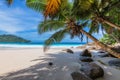 Exotic beach with Coconut palms