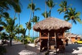 Exotic Beach in Dominican Republic, Punta Cana Royalty Free Stock Photo