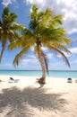 Exotic beach. The Dominican Republic, Saona Island Royalty Free Stock Photo