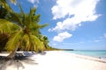 Exotic beach. The Dominican Republic, Saona Island Royalty Free Stock Photo