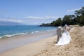 Exotic Beach Wedding med. wide