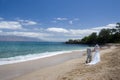 Exotic Beach Wedding Wide view