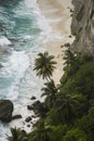 Exotic beach with white sand, palm trees, rock and clear blue water