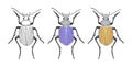 Exotic beetles. Hand drawn sketched Beetle. Doodle beetles. Vector illustration