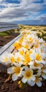 Exotic Bench Surrounded By Yellow And White Flowers In Hawaii Volcanoes National Park